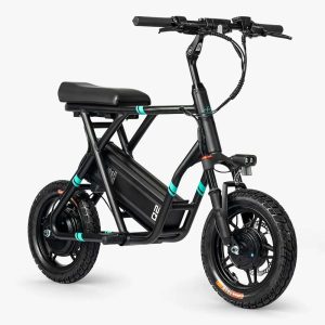 Fiido Q2 Electric Scooter - Black
